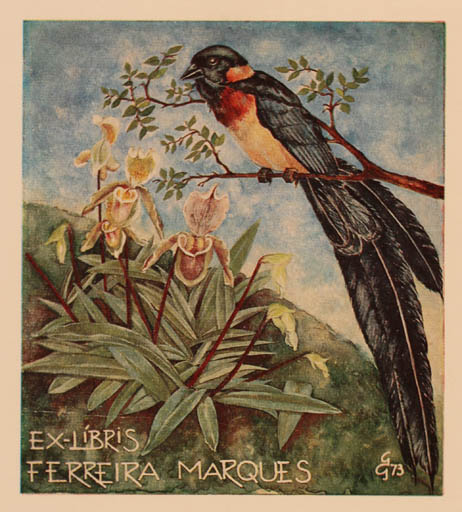 Exlibris by Aulo-Gelio Severino from Portugal for Marques Ferreira - Flora Bird 