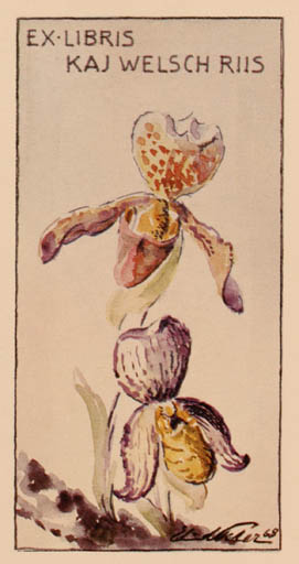 Exlibris by Edmund Peter from Denmark for Kaj Welsch Riis - Flower Flora 