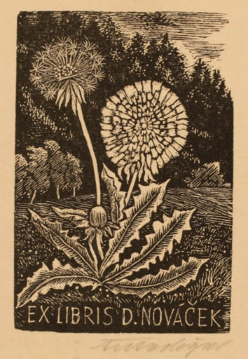 Exlibris by Antonin Dolezal from Czechoslovakia for Dagmar Novacek - Flora 