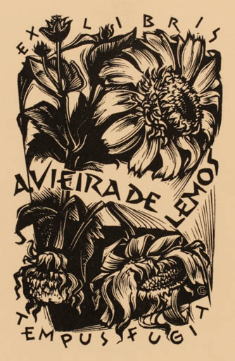 Exlibris by Gerard Gaudaen from Belgium for Avieirade Lemos - Flower Flora 