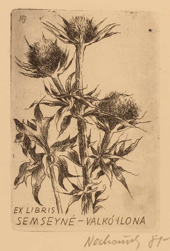 Exlibris by Jozsef Nechanszky from Hungary for Valko Ilona Semseyne - Flora 