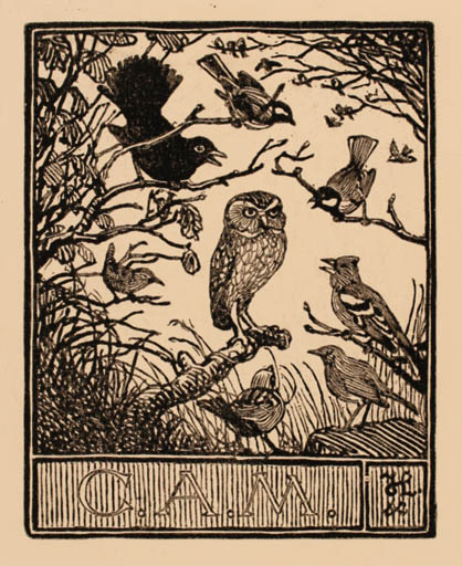 Exlibris by Johannes Larsen from Denmark for C.A. Mentz - Fauna Bird Owl 