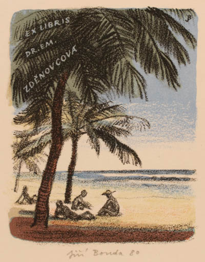 Exlibris by Jiri Bouda from Czech Republic for Dr. Emilie Zdenovcova - Maritime Palm tree 