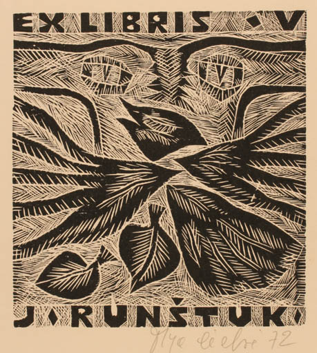 Exlibris by Olga Cechova from Czechoslovakia for J. Runstuk - Abstract 