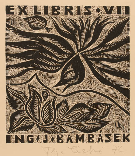 Exlibris by Olga Cechova from Czechoslovakia for J Bambásek - Flower Bird 