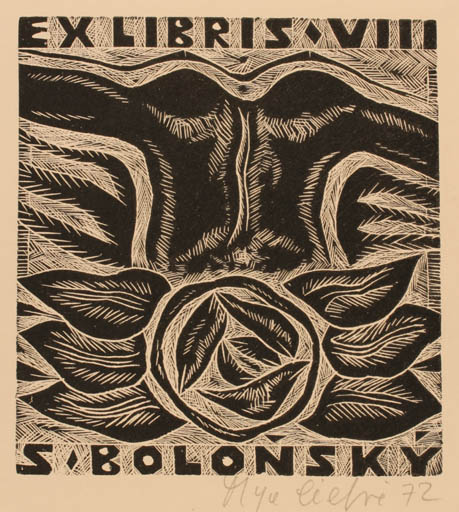 Exlibris by Olga Cechova from Czechoslovakia for S Bolonský - Abstract 