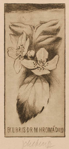 Exlibris by Jaroslav Cheben from Czechoslovakia for Dr. M. Hromádko - Flower Flora 