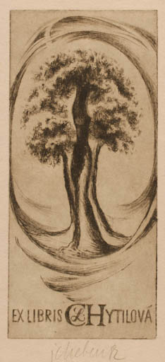 Exlibris by Jaroslav Cheben from Czechoslovakia for L Hytilova - Tree 