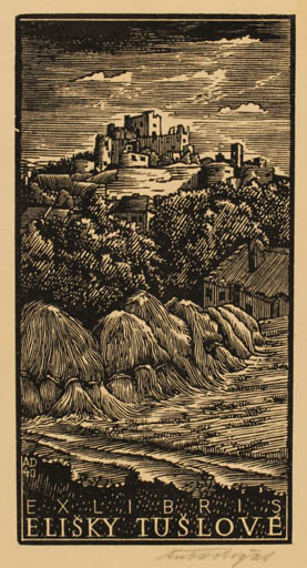 Exlibris by Antonin Dolezal from Czechoslovakia for Elisky Tuslove - Castle/Palace Scenery/Landscape 