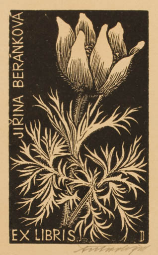 Exlibris by Antonin Dolezal from Czechoslovakia for Jirinka Berankova - Flower Flora 