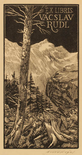 Exlibris by Antonin Dolezal from Czechoslovakia for Vaclav Rudl - Mountain Scenery/Landscape Tree 