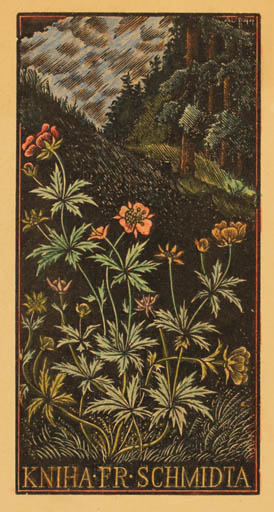 Exlibris by Antonin Dolezal from Czechoslovakia for Frantiska Schmidta - Flower Flora Scenery/Landscape Forest 