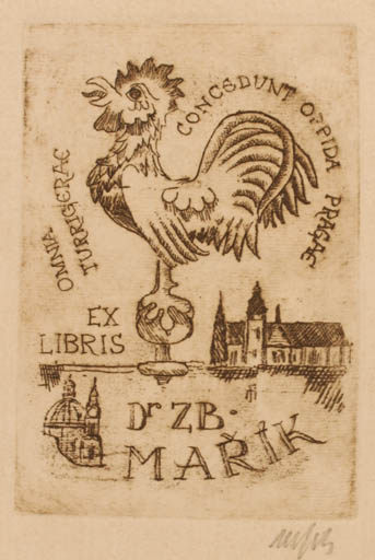 Exlibris by Dr. Otakar Marik from Czechoslovakia for Zbynek Marik - Architecture Bird 