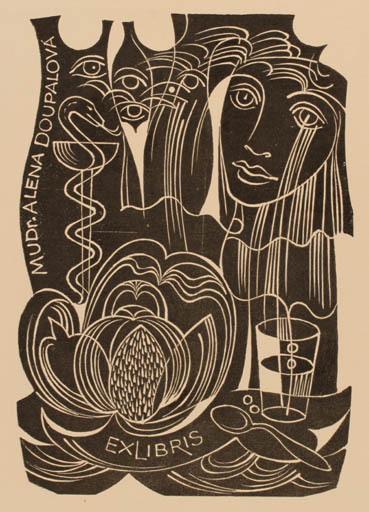 Exlibris by Dusan Janousek from Czechoslovakia for Mudr. Alena Doupalová - Woman Medicine 