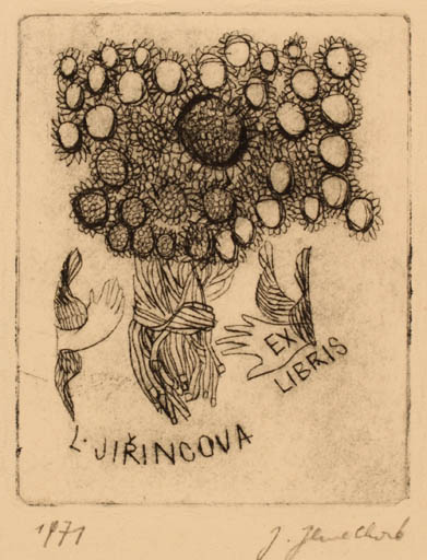 Exlibris by Jana Juwelkova from Czechoslovakia for Ludmilla Jirincova - Flora Hand(s) 