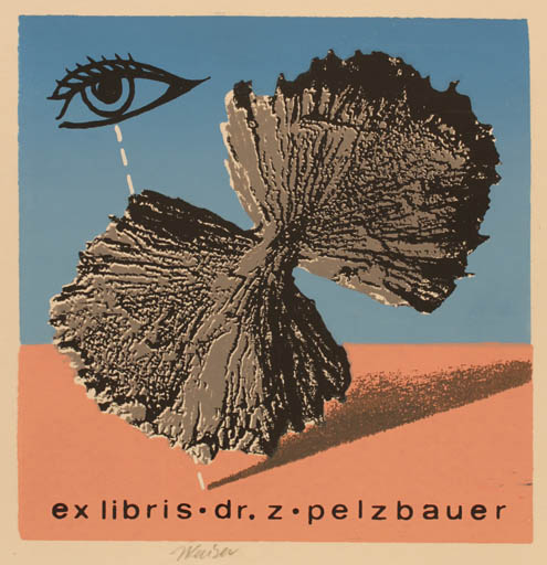 Exlibris by Jaroslav Kaiser from Czechoslovakia for Dr. Z Pelzbauer - Abstract 