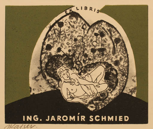 Exlibris by Jaroslav Kaiser from Czechoslovakia for Ing. Jaromir Schmied - Flower Flora Woman 