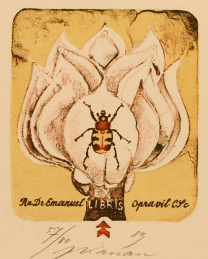 Exlibris by Jan Kavan from Czechoslovakia for Dr. Emanuel Opravil - Flower Flora Insect 