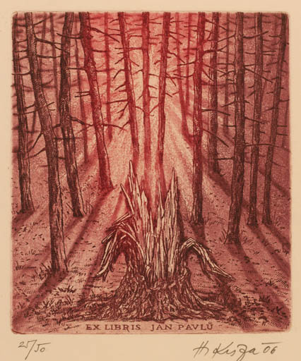 Exlibris by Herbert Kisza from Czechoslovakia for Jan Pavlü - Forest Tree 