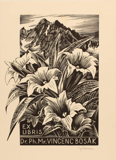 Exlibris by Ladislav Vlodek from Czech Republic for Dr. Vincenc Bosak - Mountain Flower Flora Scenery/Landscape 