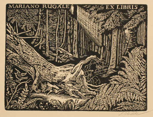 Exlibris by Ladislav Vlodek from Czech Republic for Mariano Rugale - Flora Forest Tree 