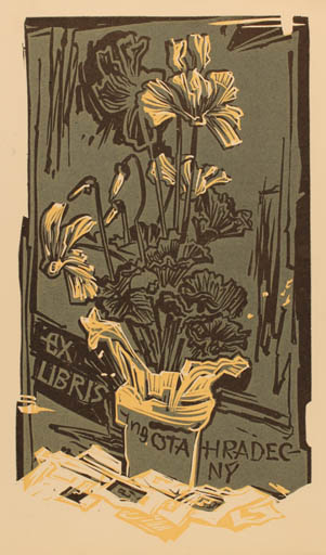 Exlibris by Jaroslav Vodrazka from Czechoslovakia for Ing. Otakar Hradecny - Flower Flora 