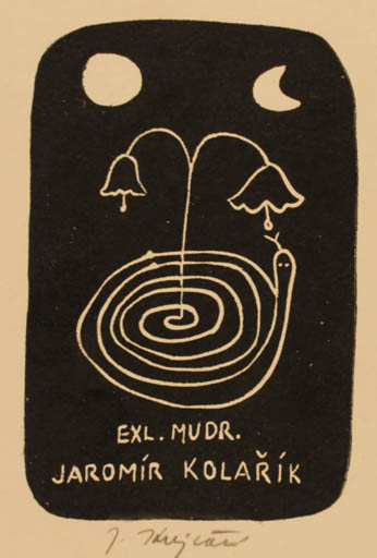 Exlibris by Jana Krejcova from Czechoslovakia for Jaromir Kolarik - Flower 