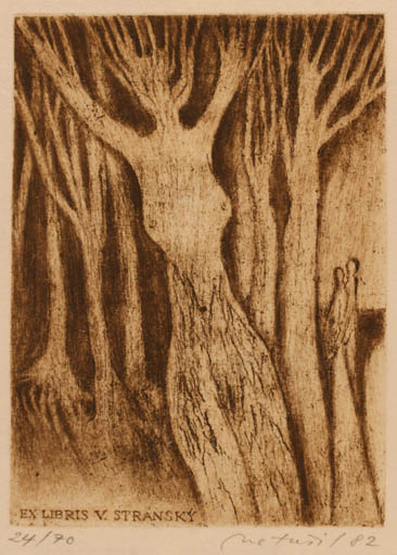 Exlibris by Lubomir Netusil from Czechoslovakia for V Stránský - Woman Tree 