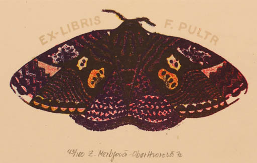 Exlibris by Zuzana Oberthorova from Czech Republic for Frantisek Pultr - Butterfly 