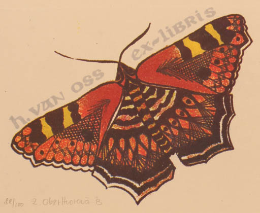 Exlibris by Zuzana Oberthorova from Czech Republic for Hermi van Oss - Butterfly 