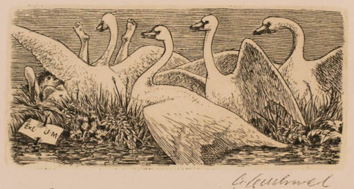 Exlibris by Ant Odehnal from Czechoslovakia for ? J.M. - Bird Leda and the Swan 