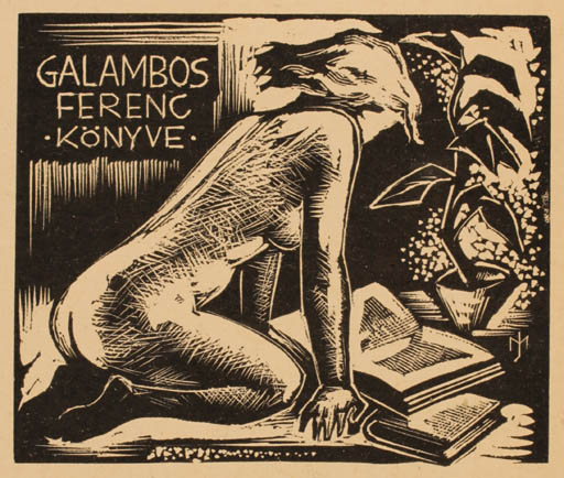 Exlibris by Jozsef Menyhart from Hungary for Galambos Ferenc - Book Woman Nude 