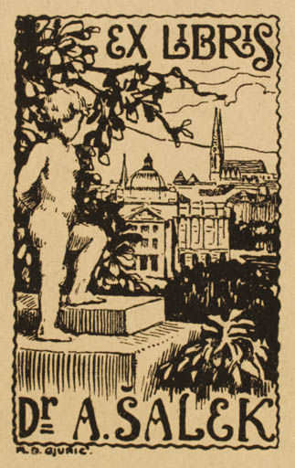 Exlibris by M. D. Gjuric from Czechoslovakia for Dr. A. Salek - City 