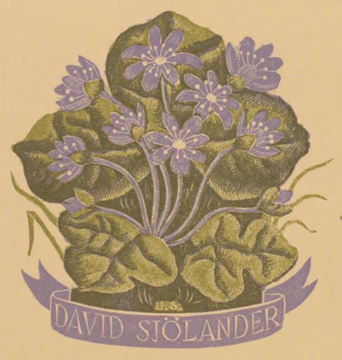 Exlibris by Harald Sallberg from Sweden for David Sjölander - Flower Flora 