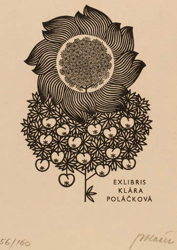 Exlibris by Josef Polacek from Czechoslovakia for Klára Polácková - Flower Flora Fruit 