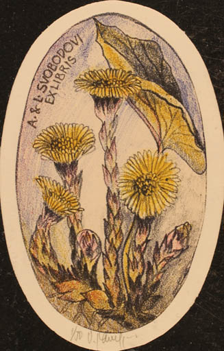 Exlibris by Vladimir jun Savel from Czech Republic for Anna a Ladislav Svobodovi - Flora 