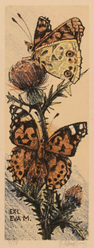 Exlibris by Vladimir jun Savel from Czech Republic for Eva Muchova - Butterfly 