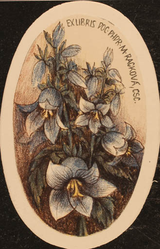 Exlibris by Vladimir jun Savel from Czech Republic for Marie Racková - Flower Flora 