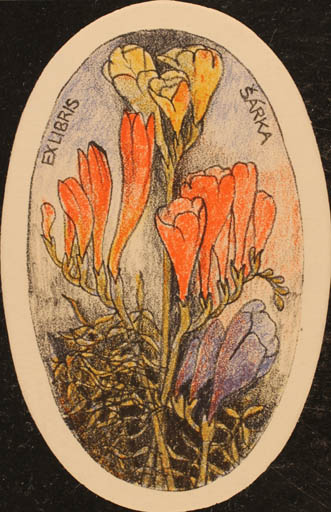 Exlibris by Vladimir jun Savel from Czech Republic for ? Sárka - Flower Flora 