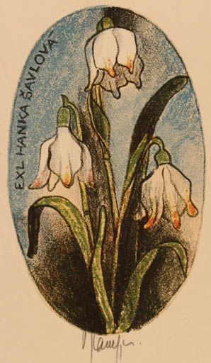 Exlibris by Vladimir jun Savel from Czech Republic for Hanka Savlová - Flower Flora 