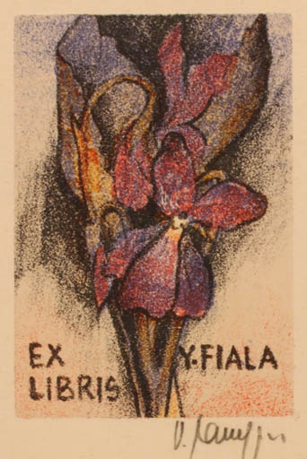 Exlibris by Vladimir jun Savel from Czech Republic for Y Fiala - Flower Flora 