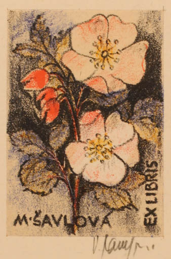 Exlibris by Vladimir jun Savel from Czech Republic for M Savlova - Flower Flora 