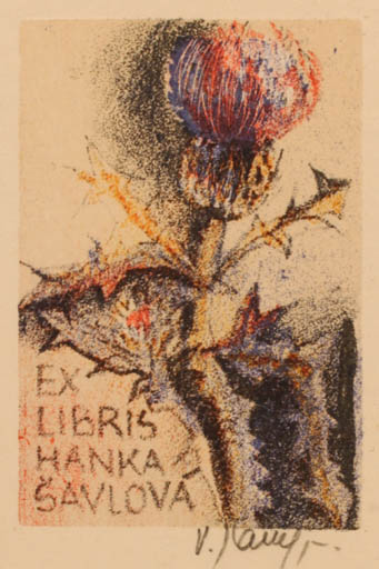 Exlibris by Vladimir jun Savel from Czech Republic for Hanka Savlová - Flower Flora 