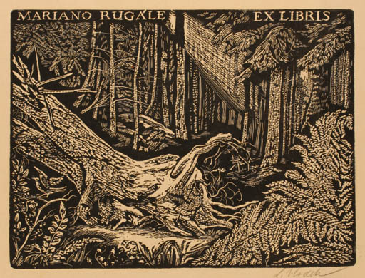 Exlibris by Ladislav Vlodek from Czechoslovakia for Mariano Rugale - Forest 