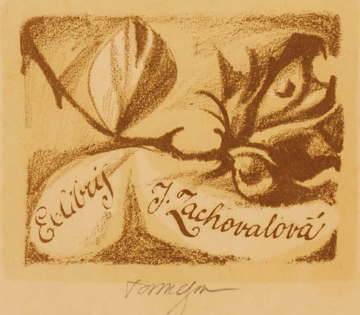 Exlibris by P Tamchyna from Czechoslovakia for Jitka Zachovalova - Flower Flora 
