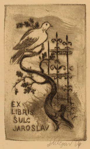 Exlibris by Jaroslav Sulc from Czechoslovakia for Jaroslav Sulc - Bird 