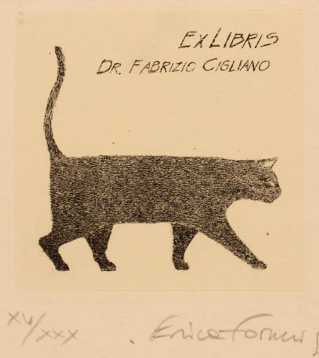 Exlibris by Erica Forneris from Italy for Fabrizio Dr Cigliano - Cat 