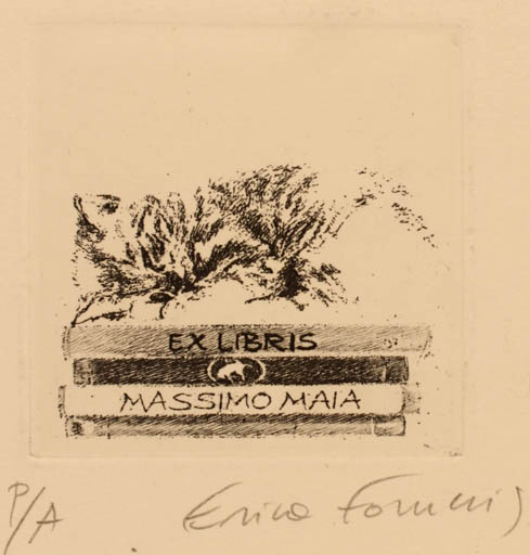 Exlibris by Erica Forneris from Italy for Massimo Maia - Abstract 