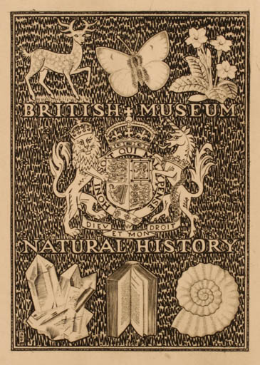 Exlibris by Mark F. Severin from Belgium for ? British Museum- Natural History - Fauna Butterfly 