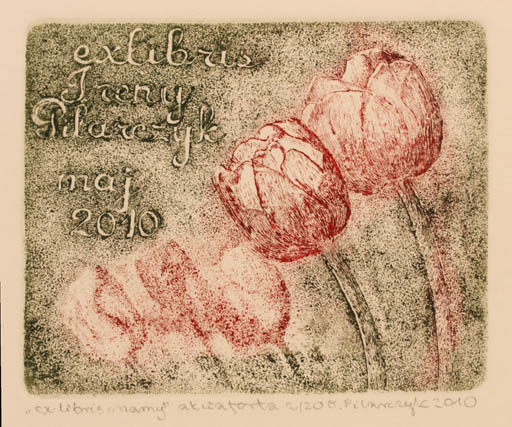 Exlibris by Bozena Pilarczyk from Poland for Ireny Pilarczyk - Flower 